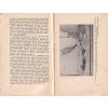 RYBY A JICH ÚPRAVA - ŠTIKA PSTRUH OKOUN - rok 1930