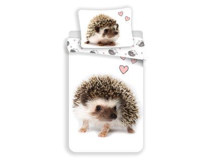 7245 1 hedgehog