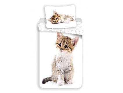 1089 3 kitten white hlavni1
