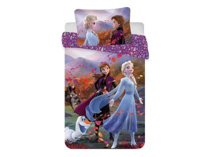 6006 4 frozen 2 wind baby1