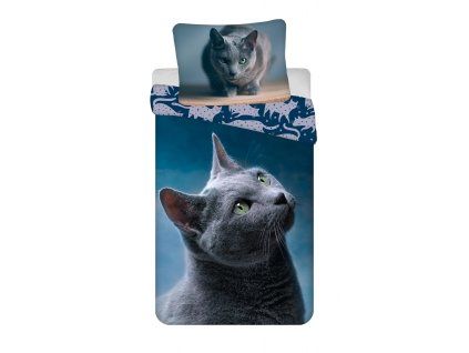 4392 1 dark cat