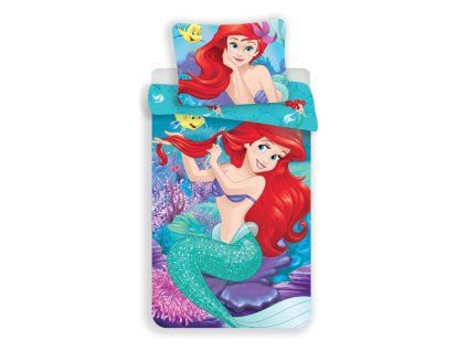 1110 7 ariel 031