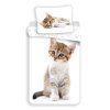 1089 3 kitten white hlavni1