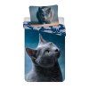 4392 1 dark cat