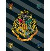 6768 1 harry potter 067