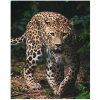 5292 4 deka leopard