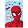 6018 3 deka spiderman1