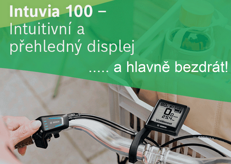 Bosch Intuvia 100