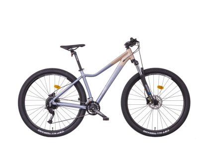 Jízdní kolo MAYO XC 29" BASIC LITE D (Velikost 17", Barva zlatá-strieborná, Modifikátor brzdy Bez modifikácie)