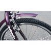 Liberty e-tříkolka COMFY 24 6 rychlostní, DISC brzdy
