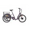 Liberty e-tříkolka COMFY 24 6 rychlostní, DISC brzdy