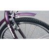 e-trojkolka LIBERTY TRINITY INDUSTRY 24" 6spd Disk