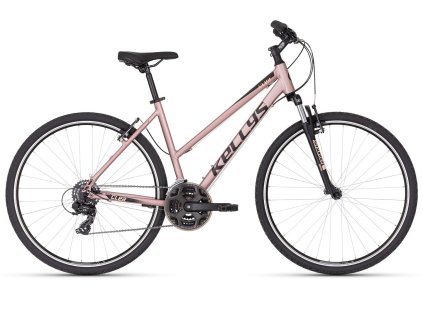 Kellys Clea 10 Rose Gold 2026