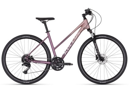 Kellys Pheebe 70 Rosy Violet  2026