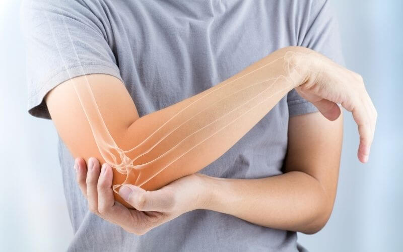 Kolagen typu II a chondroitin jako přirozené složky chrupavkové matrix