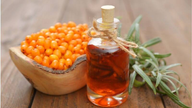 Rakytník řešetlákový a vitamin C v plodech rakytníku