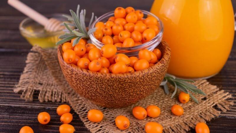Zpracování rakytníku a uchování vitaminu C v rakytníkových plodech