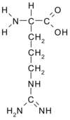 100px-Arginine