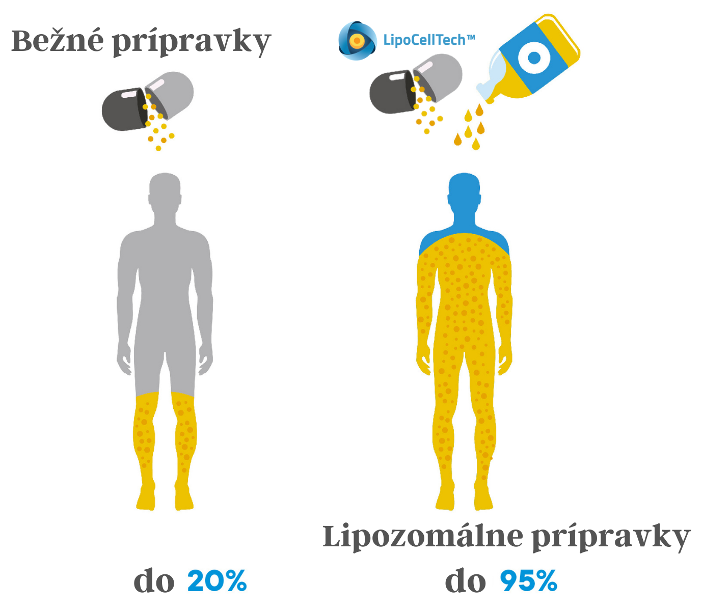 Absorption liposomal products kolagendrinkSK