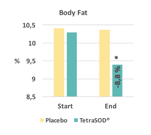 bodyfat-1
