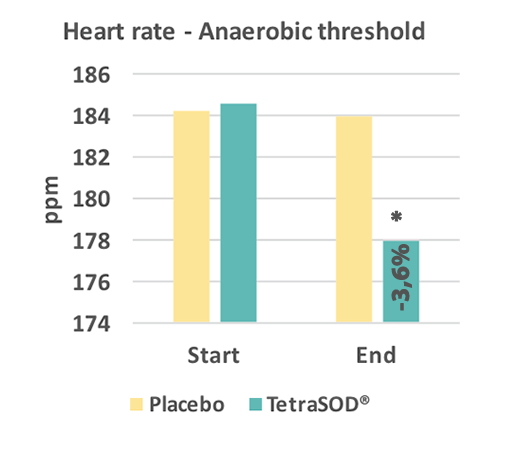 heart-rate-nw