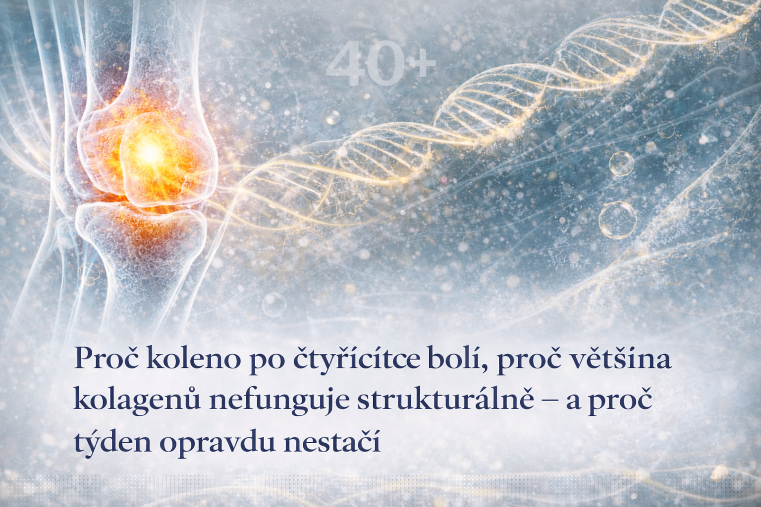 Koleno po čtyřicítce: proč začne bolet a proč týden kloubní výživy nestačí