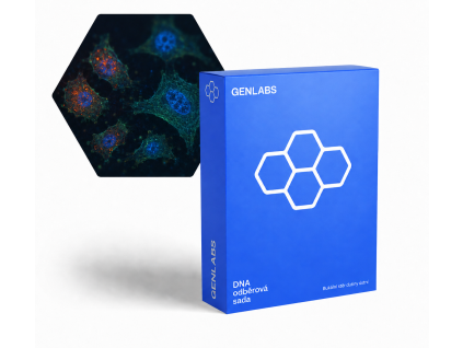 DNA Balance – genetický test GPX1