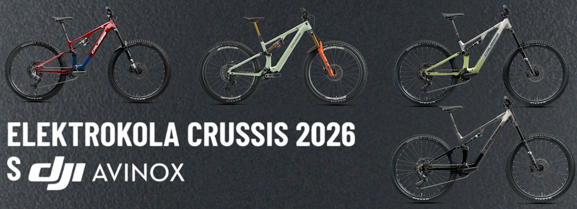 CRUSSIS 26