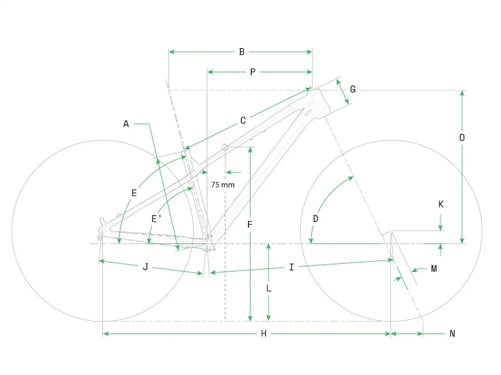 9c8edda5ed7c8307-1600-1200-wz-60