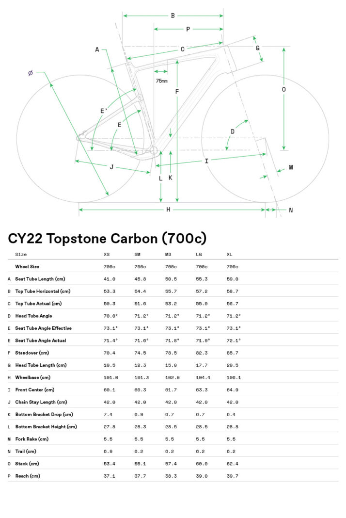 C22_Topstone_Carbon_GeoTable