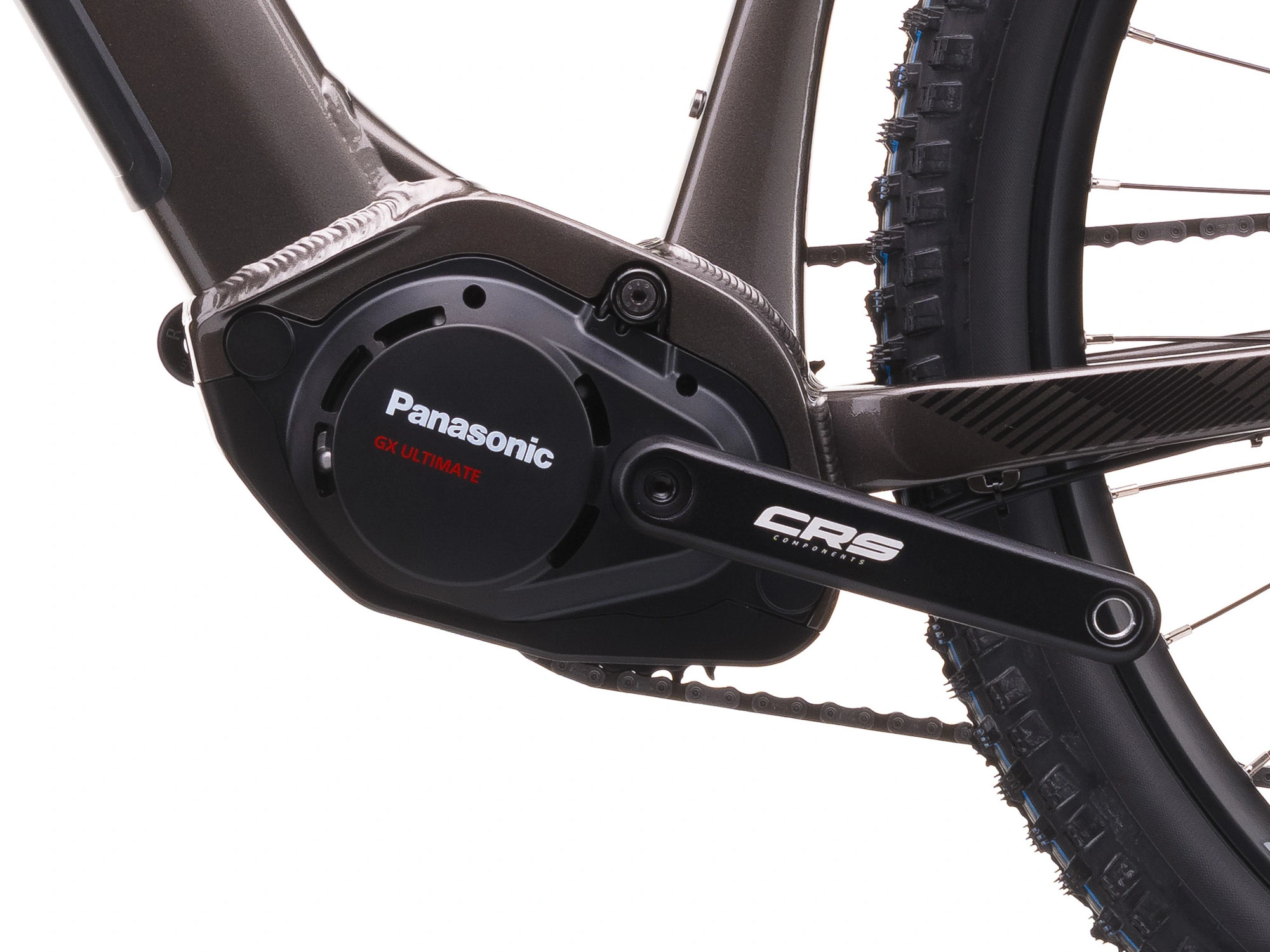 e-fionna-10-11-06.2662943163_result