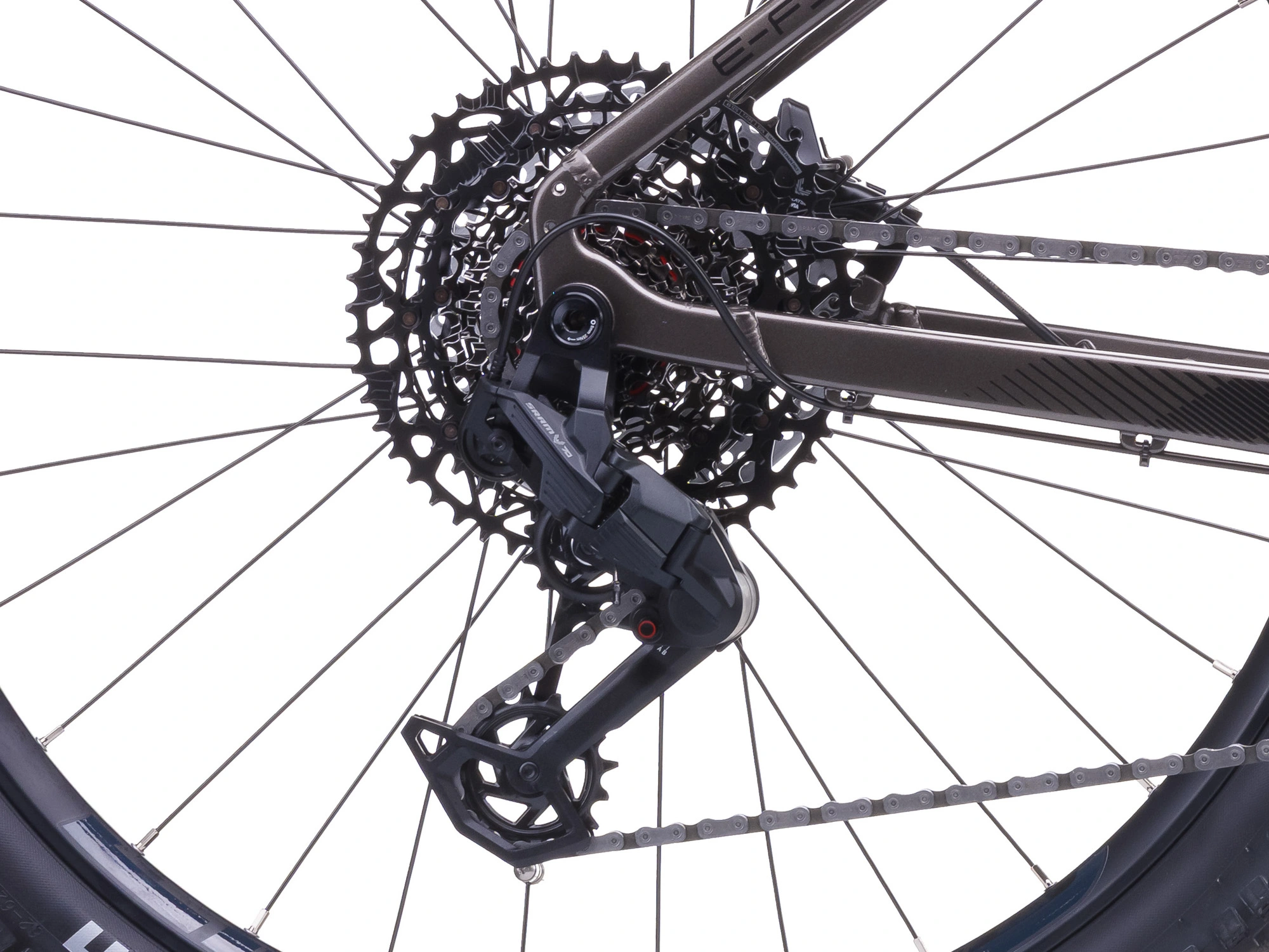 e-fionna-10-11-07.2662943163_result