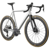 CANNONDALE CAAD14 1 (C1303GU10 RAW)2 result