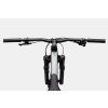 CANNONDALE HABIT 3 (C23301U10:GRY)4