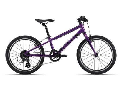 Gianr ARX 20 purple
