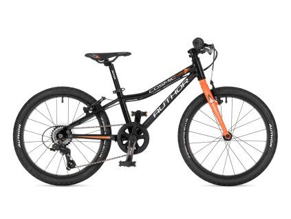 AUTHOR Cosmic 20 2025