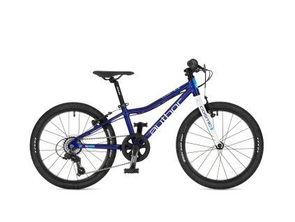 AUTHOR Cosmic 20 2026