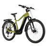 E-BIKE DIXON GENT 29",17,5"-3, ARMY GREEN (PANASONIC)