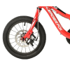 FOX UNI 14"-1, RED (CHAIN, DISC BRAKE)