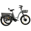 CARGO - TRICYCLE CURTIS, FRONT MOTOR, GREY MATT