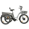 CARGO - TRICYCLE LOVELO, FRONT MOTOR, GREY MATT