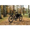 CARGO - TRICYCLE LOVELO, FRONT MOTOR, GREY MATT