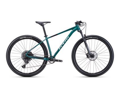 horské 29" kolo CTM RASCAL 1.0 tmavězelená/stříbrnochromová (Velikost rámu 18")