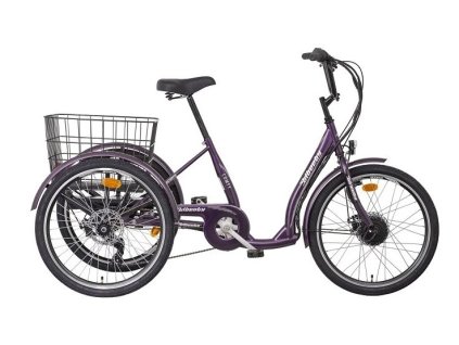 28771 liberty comfy e trojkolka 24 7spd disk 1