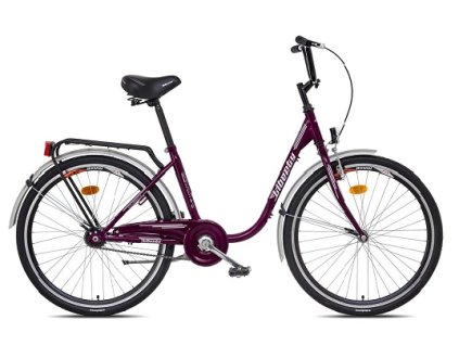 liberty classic 1 spd 26 (2)