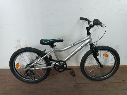 Dětské kolo Apache Beetle_20'' stříbrná