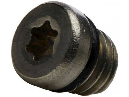 SRAM 11.5215.019.000 - AVID JUICY RESERV BLEED SCREWORING SS QTY 20 (Velikost Uni)