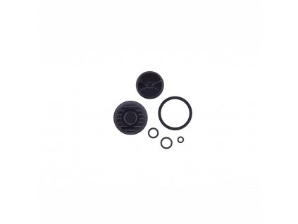 SRAM 11.5018.020.004 - SR CALIPER PISTON KIT 2 PISTON 21MMLVL TL/T