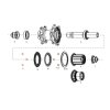 ZIPP 11.2018.035.001 - ZIPP MAGNET SET FOR CLUTCH REAR COGNITION NSW (Velikost Uni)
