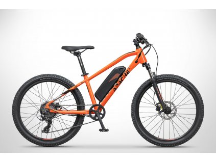 tate24